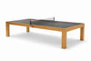 Mesa Ping Pong
