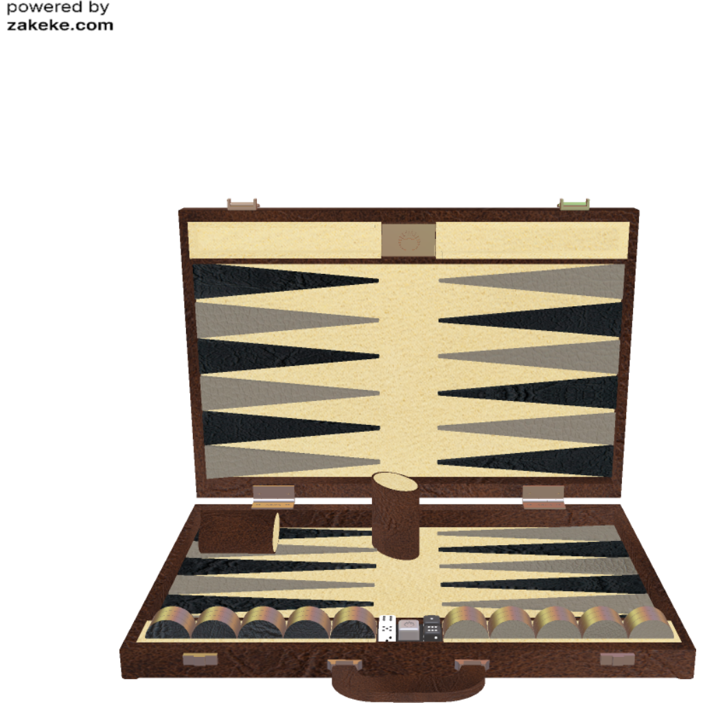 Custom Synthetic Backgammon 