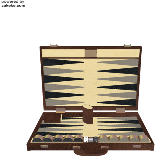 Custom Synthetic Backgammon 