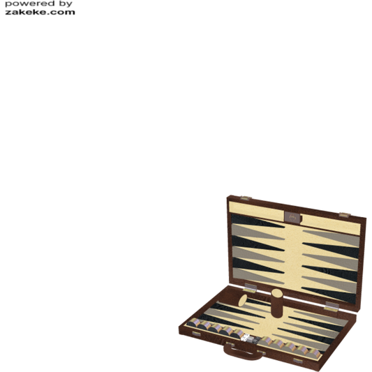 Custom Synthetic Backgammon 