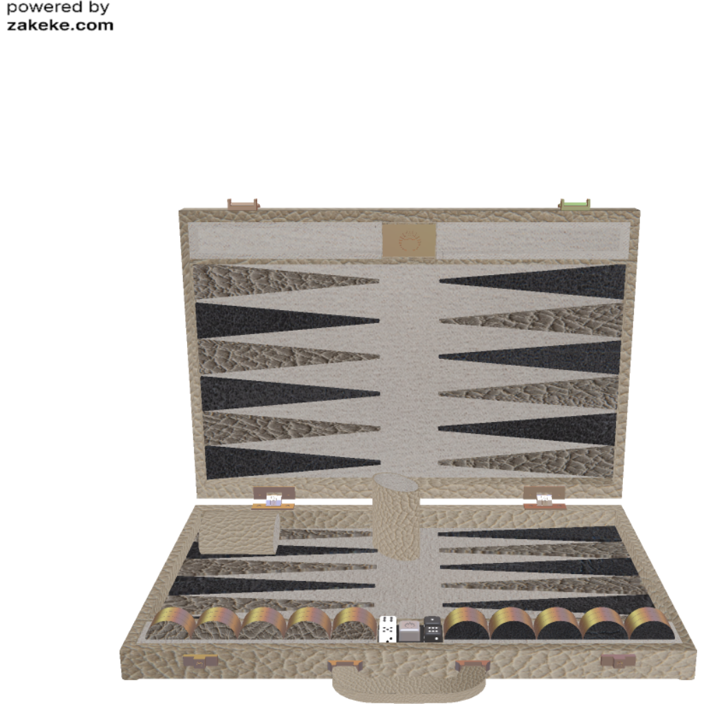 Custom Synthetic Backgammon 